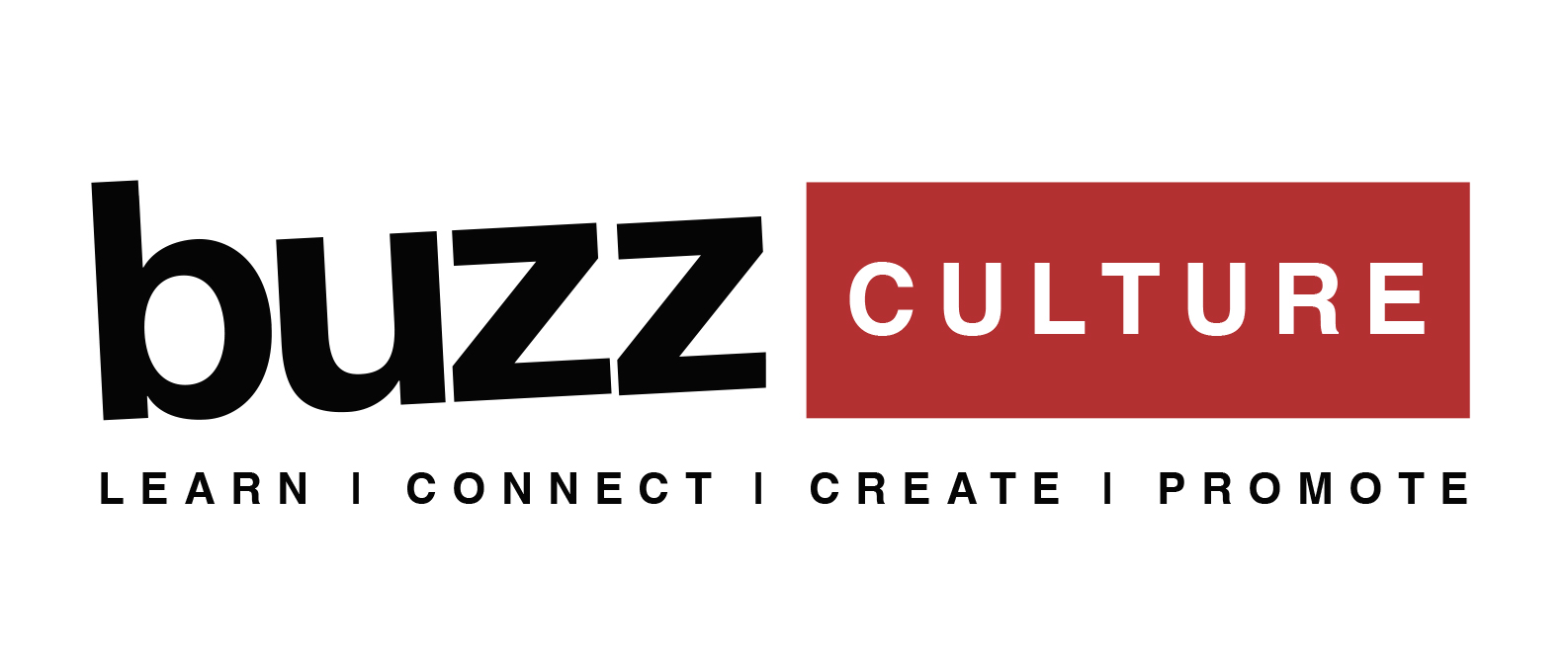 Buzz Culture Learning Experience
