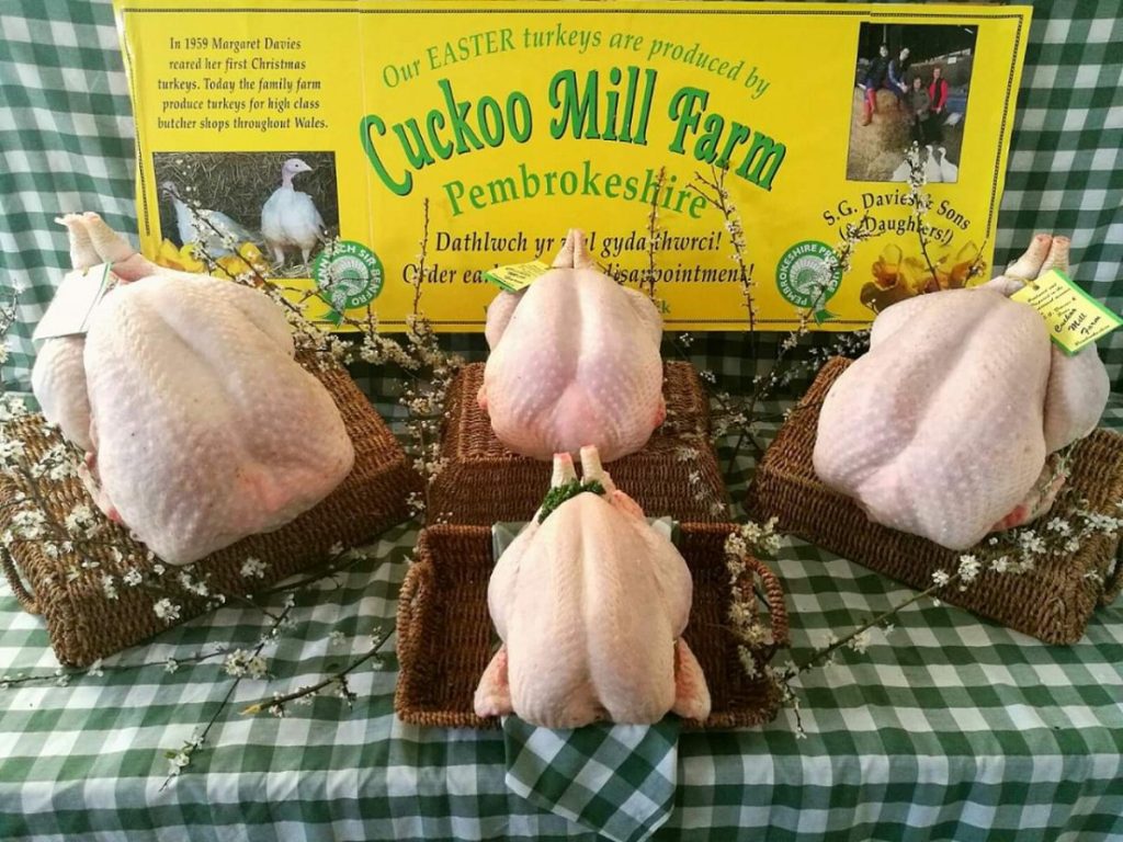 Cuckoo Farm christmas turkeys
